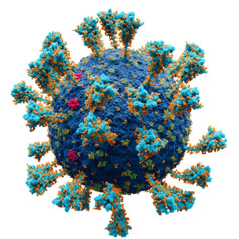 covid pandemic wikipedia|Coronavirus disease (COVID.